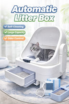 self cleaning cat litter box